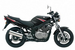 Suzuki GS 500F 2004